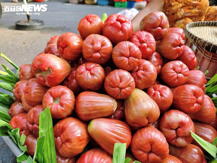 3-4 trái mận hồng giá 200.000 đồng, khách vẫn xuống tiền mua - Ảnh 1