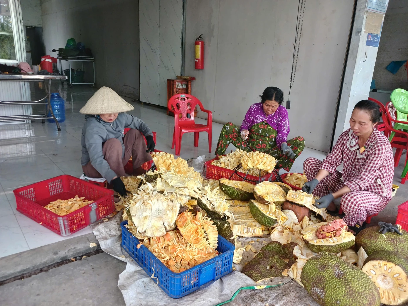 Trở tay không kịp vì giá mít 'lên đỉnh, xuống đáy' - Ảnh 5