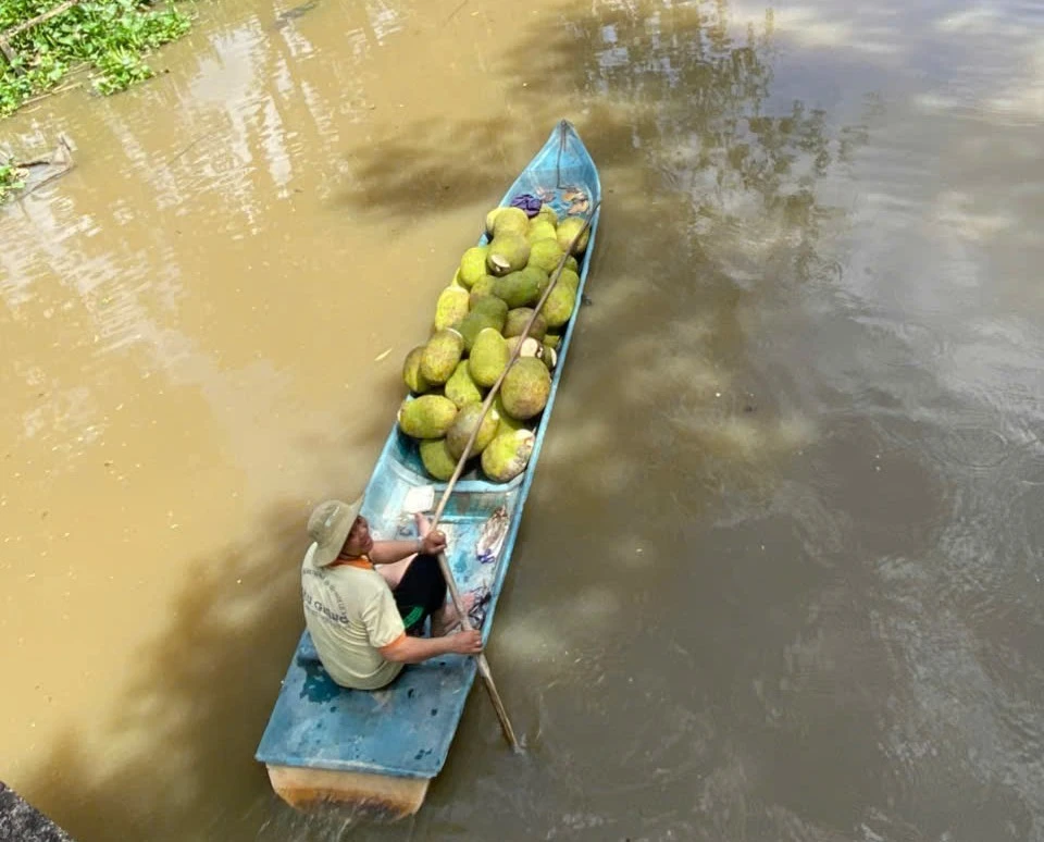 Trở tay không kịp vì giá mít 'lên đỉnh, xuống đáy' - Ảnh 1