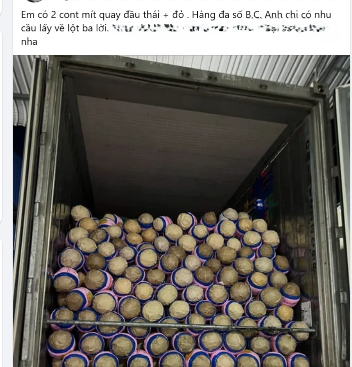 Trở tay không kịp vì giá mít 'lên đỉnh, xuống đáy' - Ảnh 4