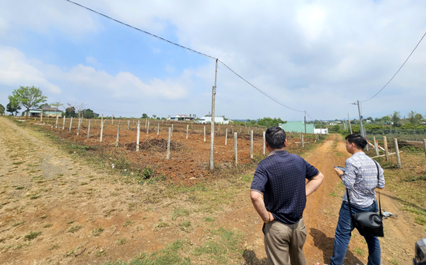 Mua bán đất ở Gia Lai diễn biến phức tạp - Ảnh 1