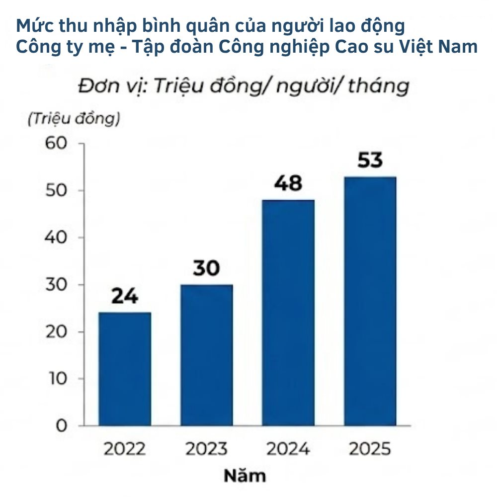 Một tập đoàn Nhà nước trả cho nhân sự trung bình 53 triệu đồng/tháng - Ảnh 1