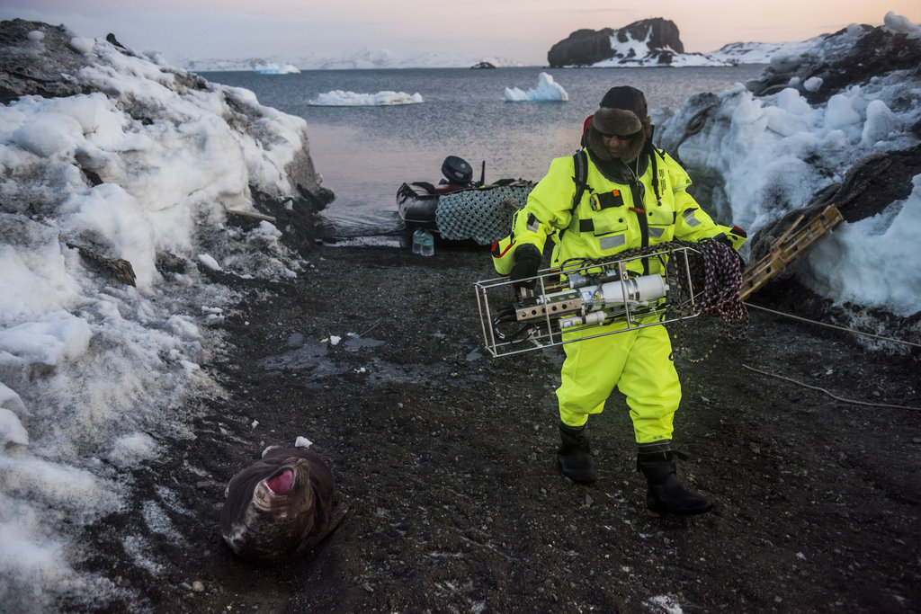 Nam Cực băng tan khiến hơn 120.000 km² đất giàu vàng bạc dần lộ diện: Cuộc đua tài nguyên không còn xa - Ảnh 3