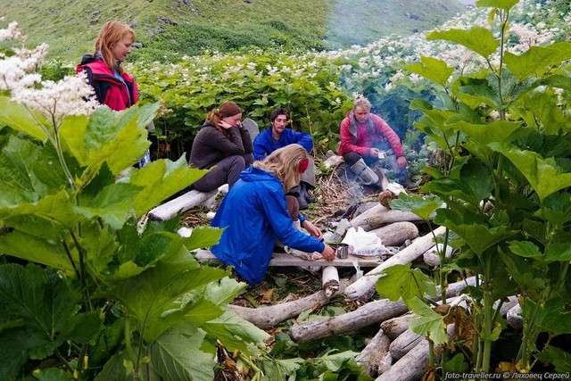 Điều gì ở vùng đất giữa nước Nga khiến cây cối bỗng hóa "khổng lồ"? Khoa học đang lần ra đáp án - Ảnh 4