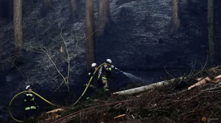 Cháy rừng tại Nhật Bản khiến 3.000 người sơ tán, lính cứu hỏa căng mình dập lửa - Ảnh 1