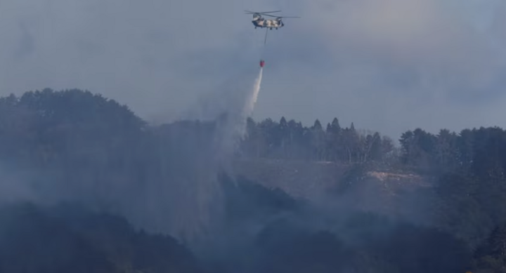 Cháy rừng tại Nhật Bản khiến 3.000 người sơ tán, lính cứu hỏa căng mình dập lửa - Ảnh 2