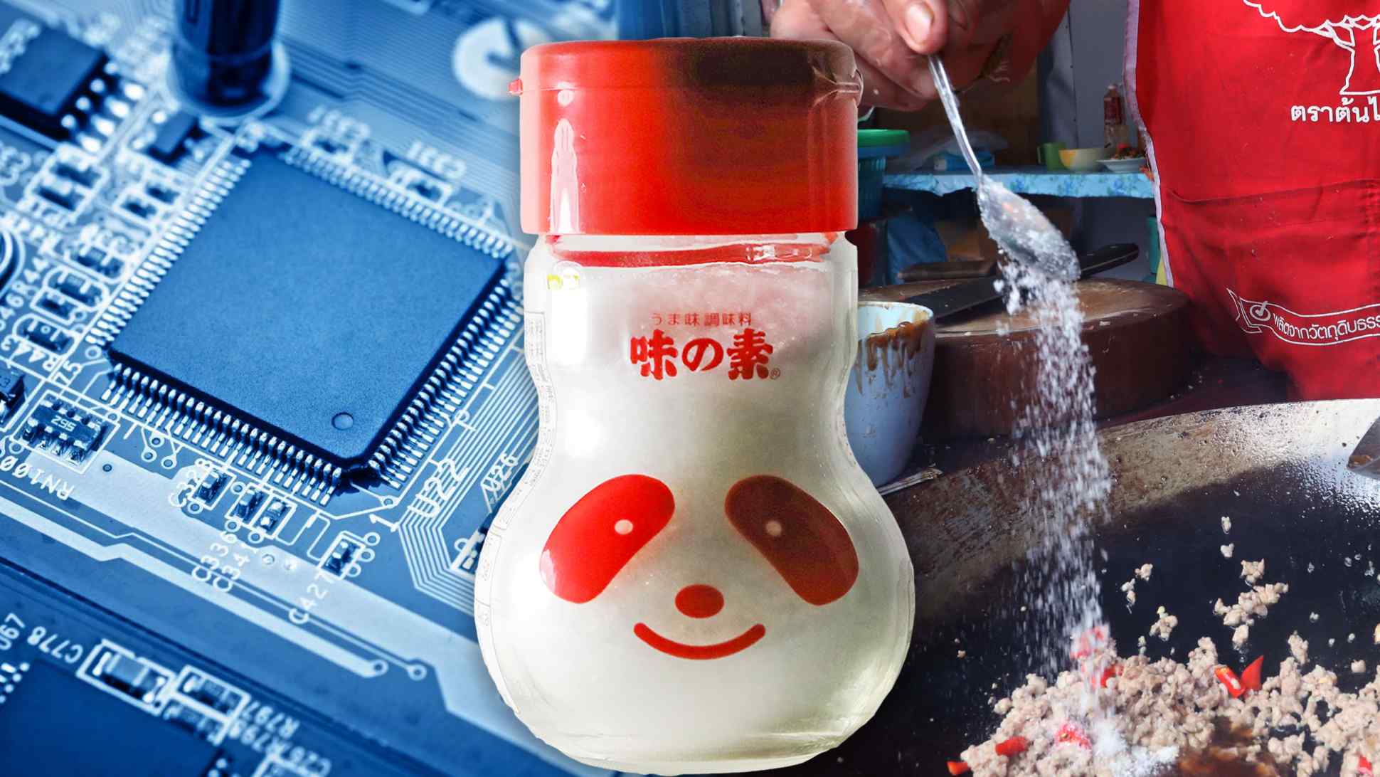 Bạn có thể sống thiếu Ajinomoto nhưng hãng chip thì không: Ngành AI Nhật Bản đang phụ thuộc vào công ty bồn cầu và bột ngọt - Ảnh 2