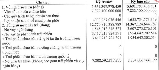 Một công ty con của Novaland lỗ lũy kế hơn 1.655 tỷ đồng - Ảnh 1