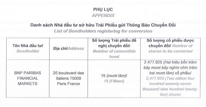 Novaland phát hành 2,4 triệu cổ phiếu chuyển đổi cho trái chủ nước ngoài - Ảnh 1