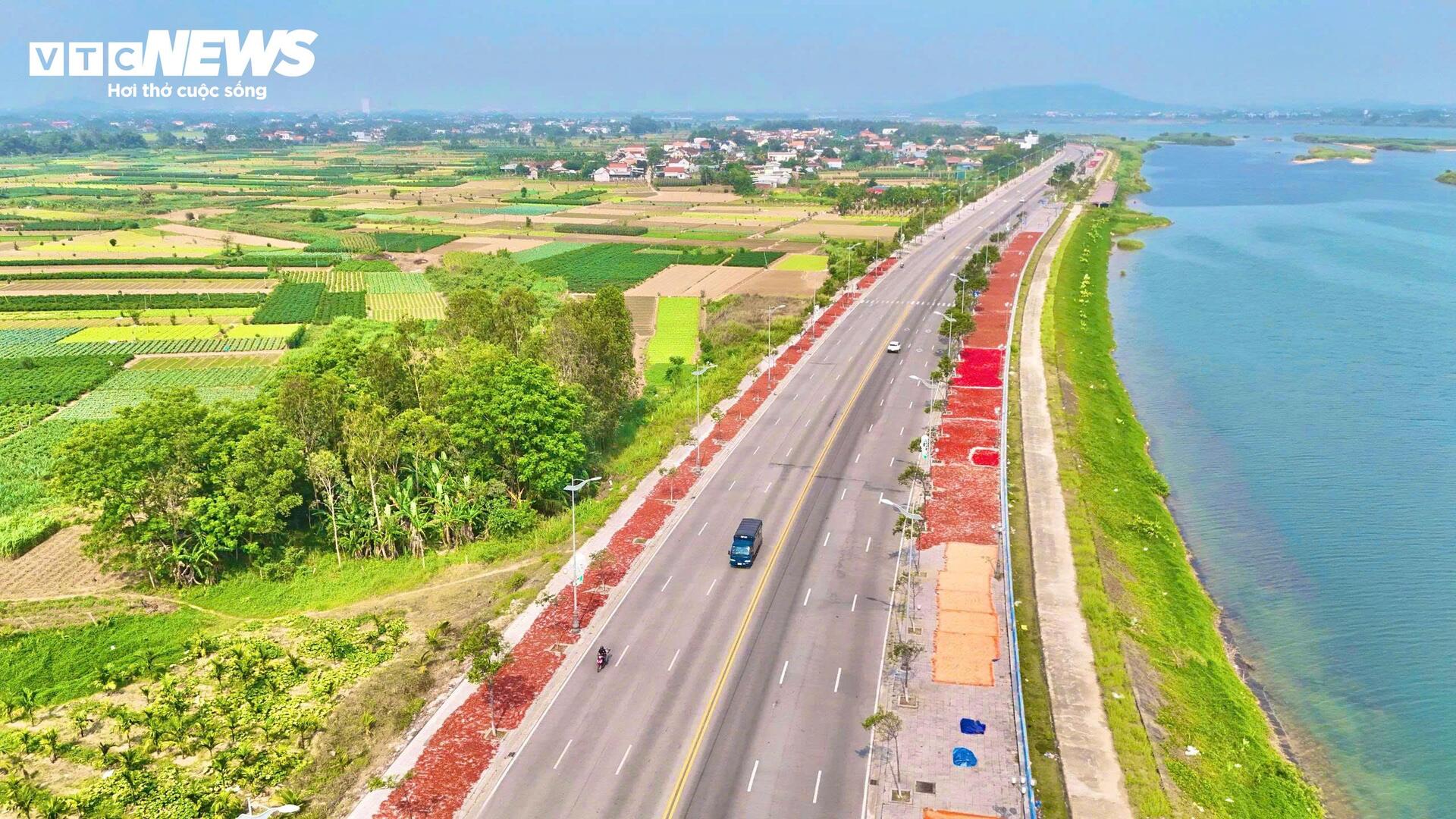 Giá ớt rớt thê thảm, nông dân Quảng Ngãi điêu đứng - Ảnh 9