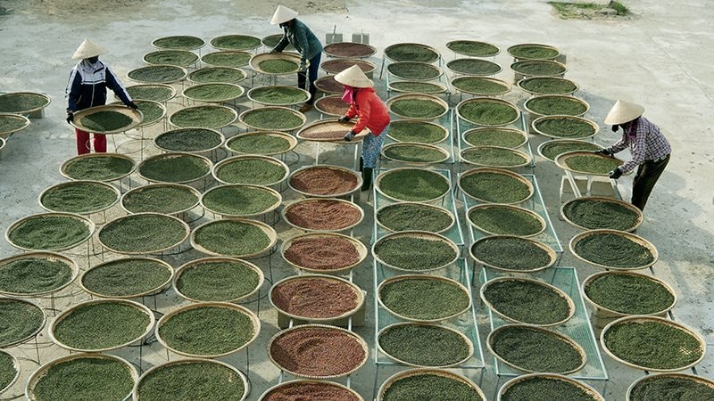 Mỹ và Trung Quốc cùng báo tin cực vui đến Việt Nam: "Mỏ vàng đen" trầm lắng bất ngờ bứt phá mạnh - Ảnh 4