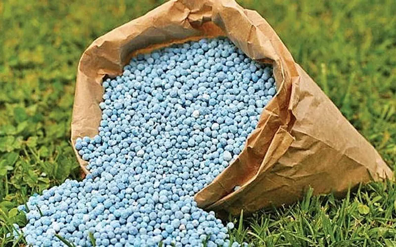 Khủng hoảng kép đẩy giá phân bón châu Âu leo thang - Ảnh 1