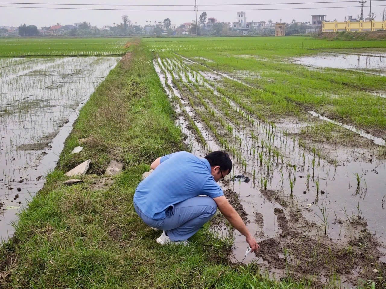Tỷ phú Phạm Nhật Vượng vừa làm một việc “không thể chậm trễ” cho người dân ven biển đồng bằng sông Hồng - Ảnh 4