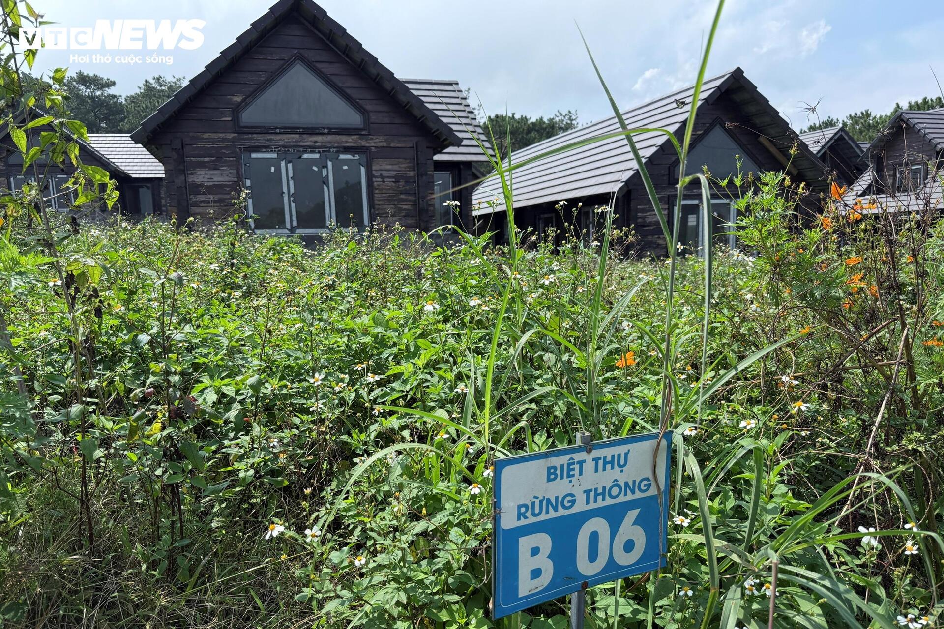 Chuyên gia nêu lý do đất nền phân lô bán cắt lỗ vẫn không có người mua - Ảnh 4