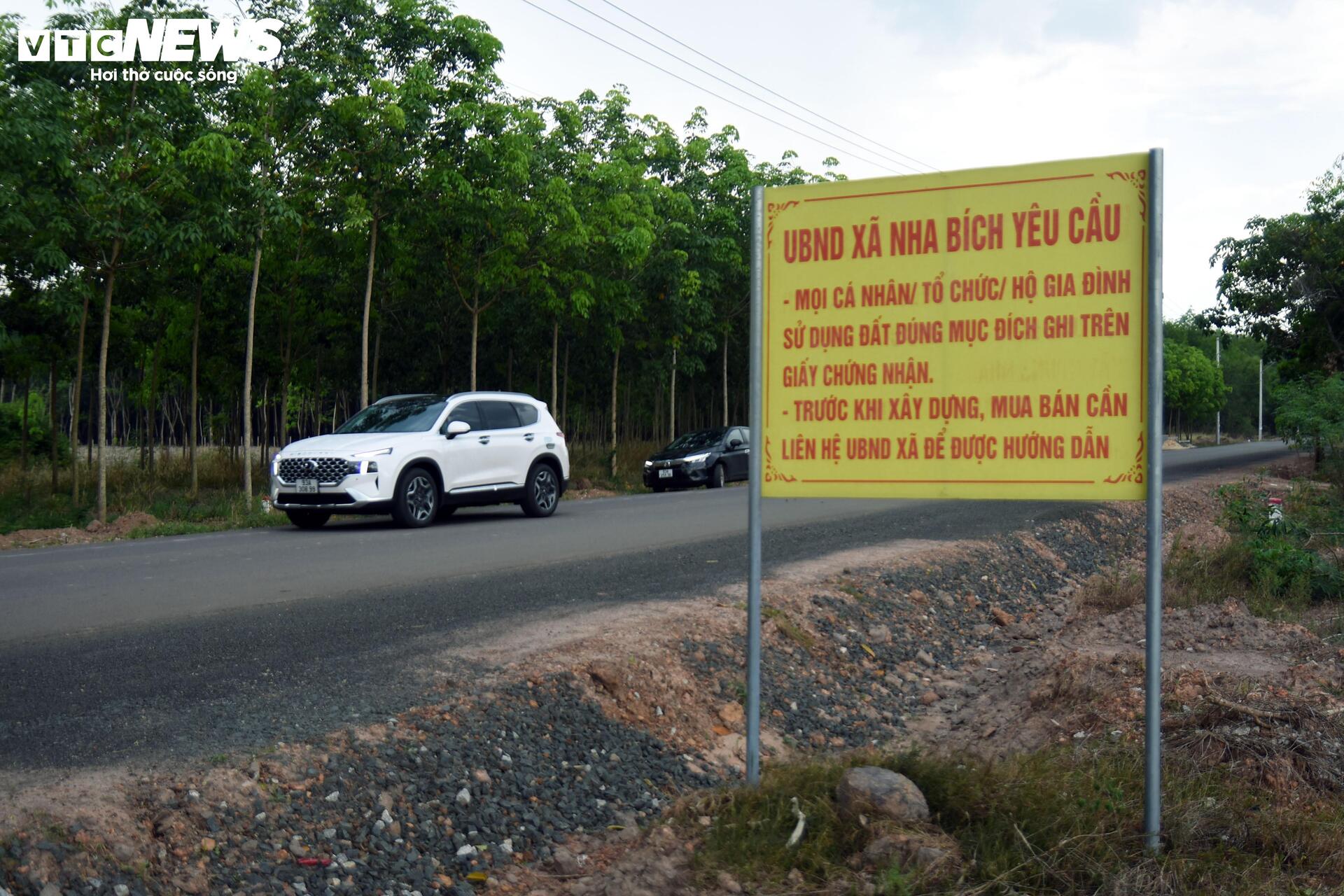 Chuyên gia nêu lý do đất nền phân lô bán cắt lỗ vẫn không có người mua - Ảnh 2