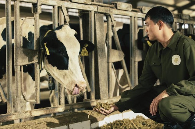 Doanh thu thuần Mộc Châu Milk đạt 741,6 tỷ đồng trong Quý I, kỳ vọng tăng trưởng năm 2026 - Ảnh 1