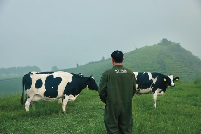Doanh thu thuần Mộc Châu Milk đạt 741,6 tỷ đồng trong Quý I, kỳ vọng tăng trưởng năm 2026 - Ảnh 2