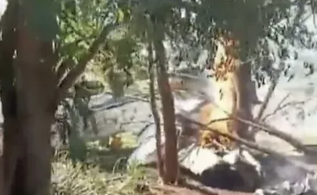 Rơi máy bay chở đầy tiền mặt giữa biên giới 3 nước, nổ ra hàng loạt vụ cướp - Ảnh 3