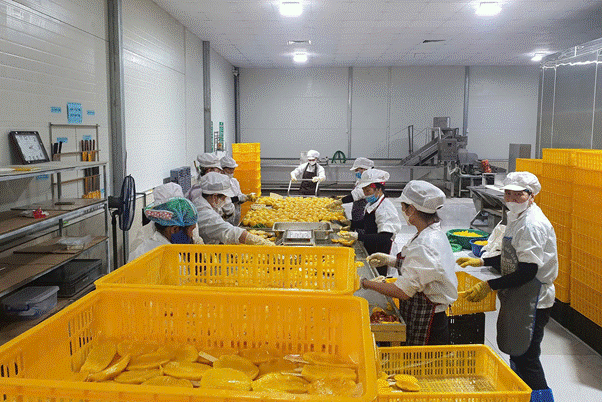 Vì sao giá nguyên liệu đã "hạ nhiệt" nhưng hàng quán vẫn giữ giá bán? - Ảnh 2