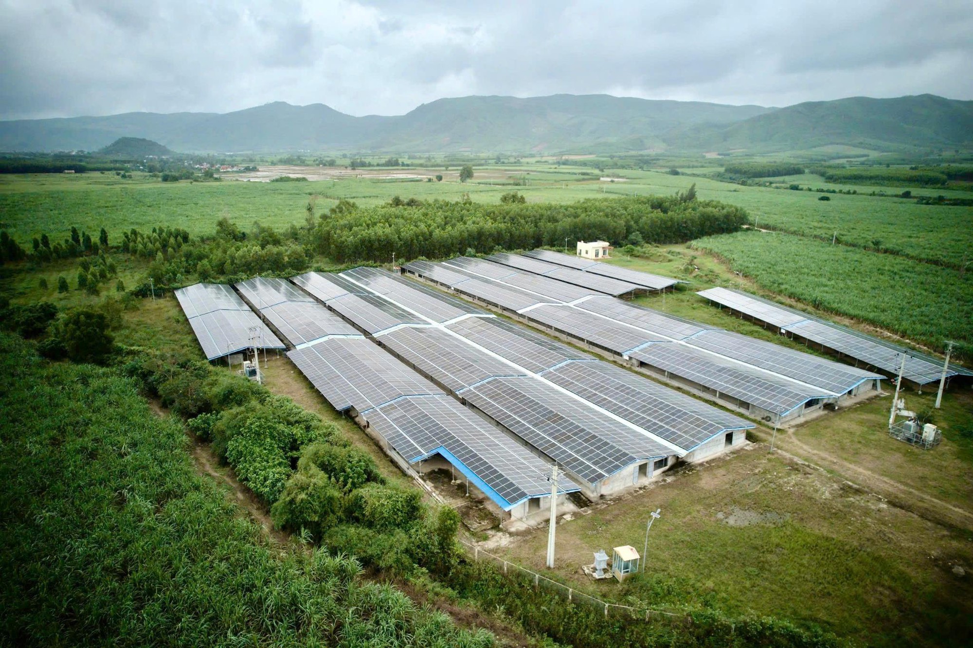 Tập đoàn Thành Nam mở rộng đầu tư, tham gia thị trường xuất khẩu cà phê - Ảnh 2