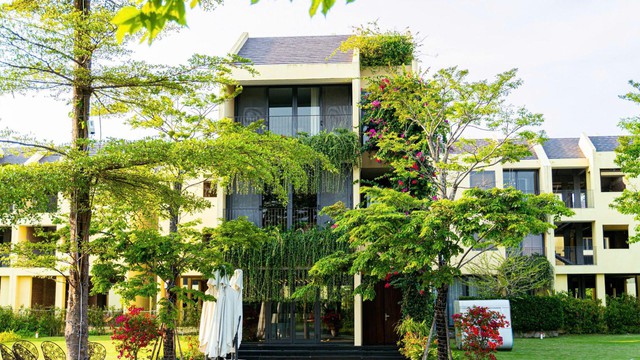 Sinh lời không đến từ “sóng thị trường” mà từ giá trị sử dụng - Ảnh 3