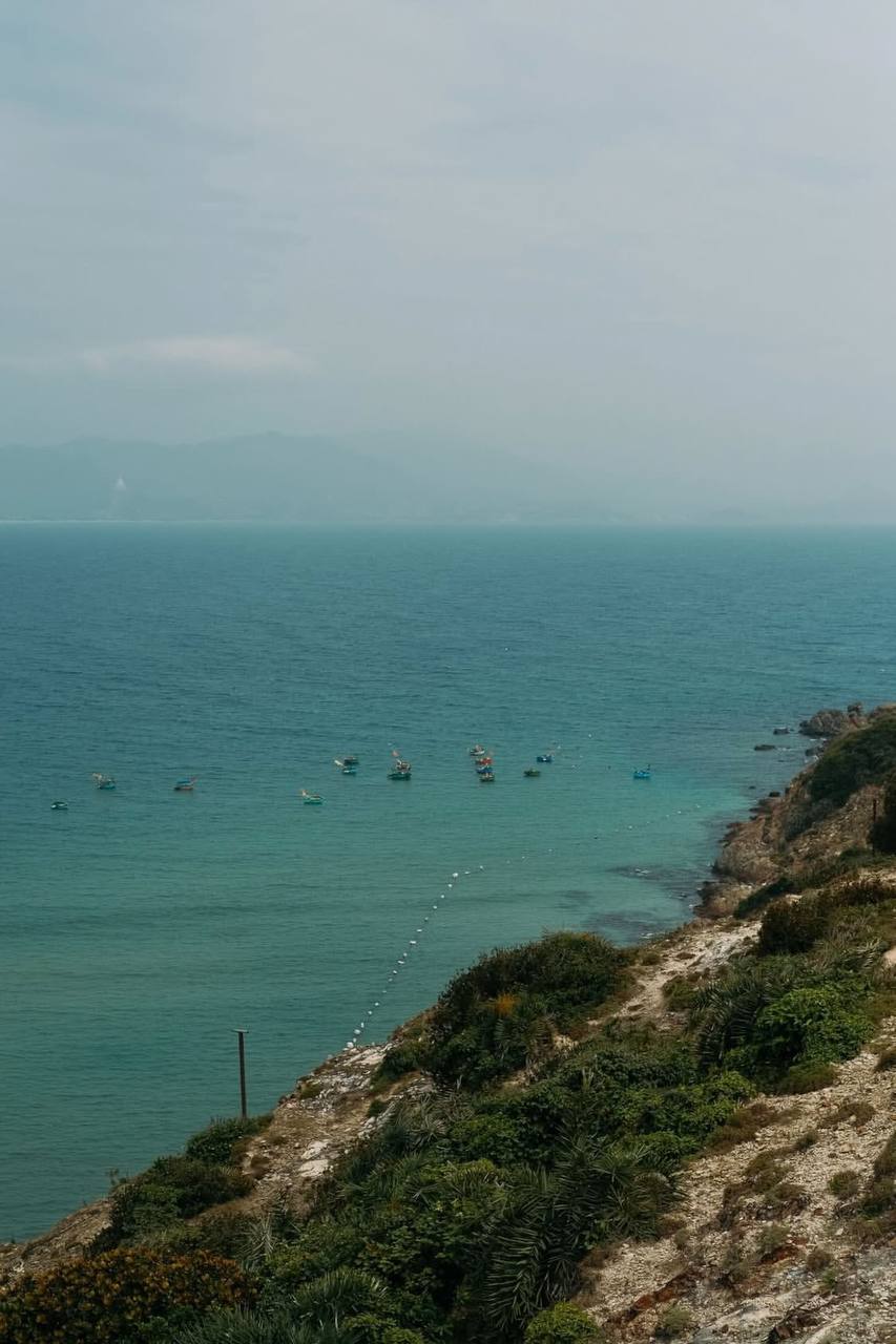 Thành phố biển Việt Nam dẫn đầu Đông Nam Á: 3 lần liên tiếp ẵm giải Du lịch sạch nhất ASEAN, thu hút 18 giáo sư Nobel ghé thăm - Ảnh 7