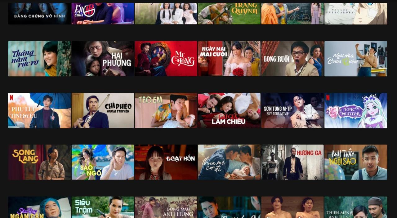 Chuyện gì đang xảy ra với Netflix Việt Nam? - Ảnh 6