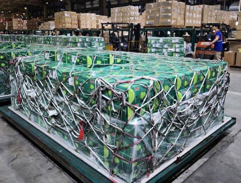 Việt Nam đón tin vui từ Trung Đông: Lần đầu tiên siêu tập đoàn 8 tỷ USD thuê máy bay chở 100 tấn rau quả Việt sang tiêu thụ - Ảnh 1