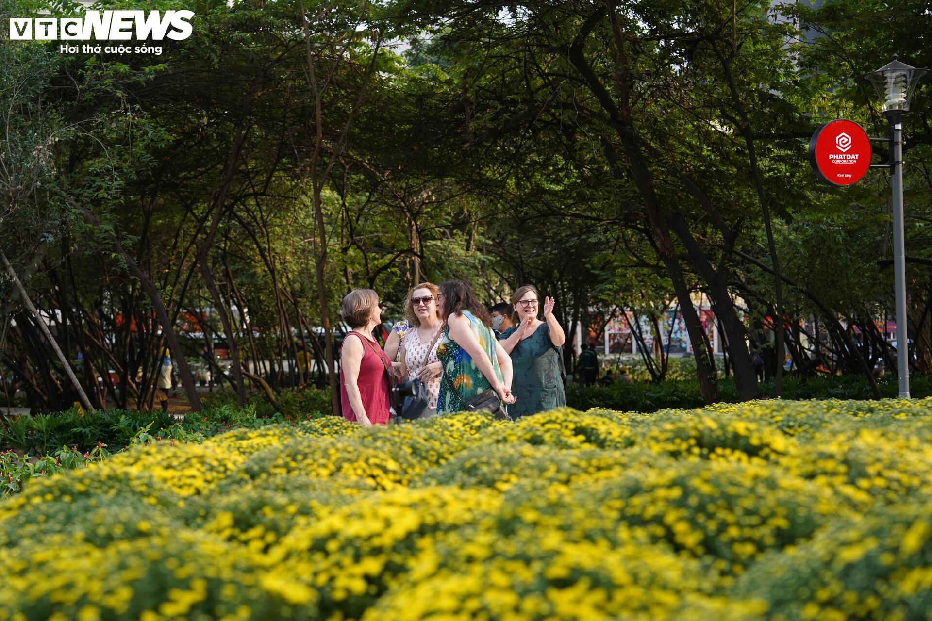 Cận cảnh khu 'đất vàng' vừa được TP.HCM xem xét thu hồi - Ảnh 13