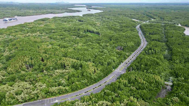 TPHCM đề xuất rót 19.000 nghìn tỷ nghiên cứu mở rộng đường Rừng Sác lên 10 làn xe - Ảnh 1