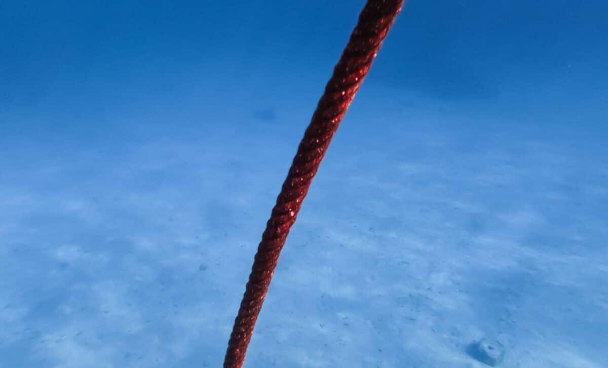 Thả một sợi cáp dài 10 km xuống đáy biển, các nhà khoa học phát hiện 56.000 tín hiệu lạ chỉ trong 21 ngày - Ảnh 1