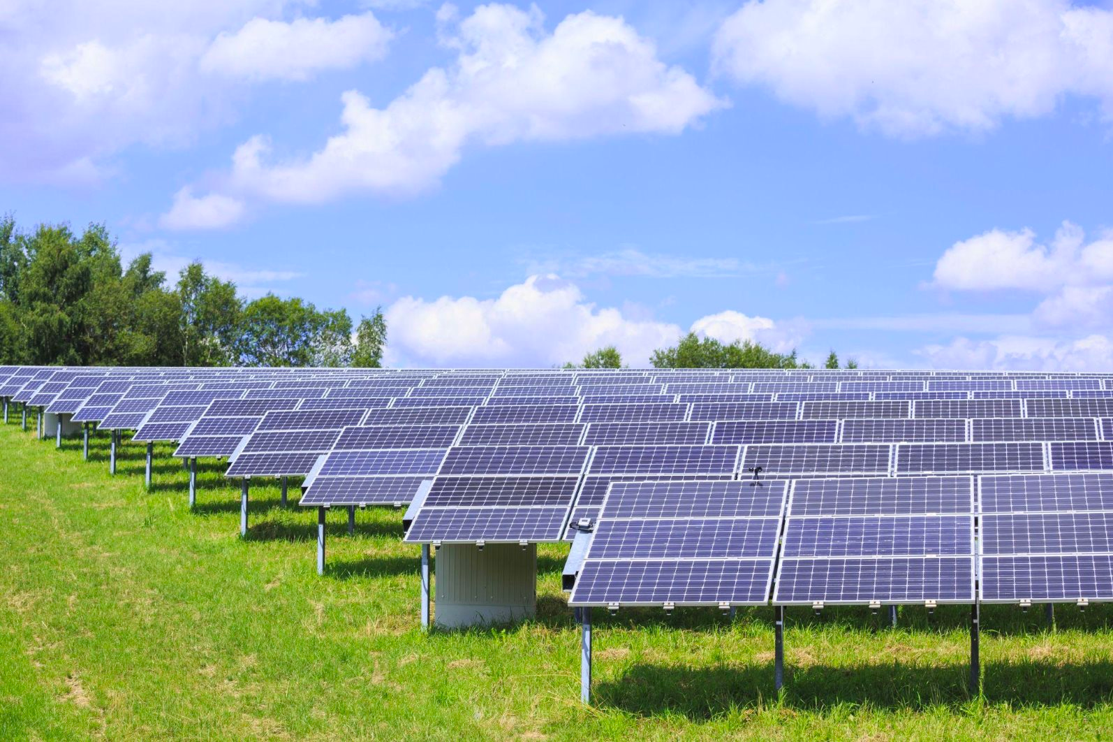 CRC điều chỉnh tăng mạnh kế hoạch kinh doanh 2026, kỳ vọng bứt tốc khi nhà máy gạch men đi vào vận hành - Ảnh 2