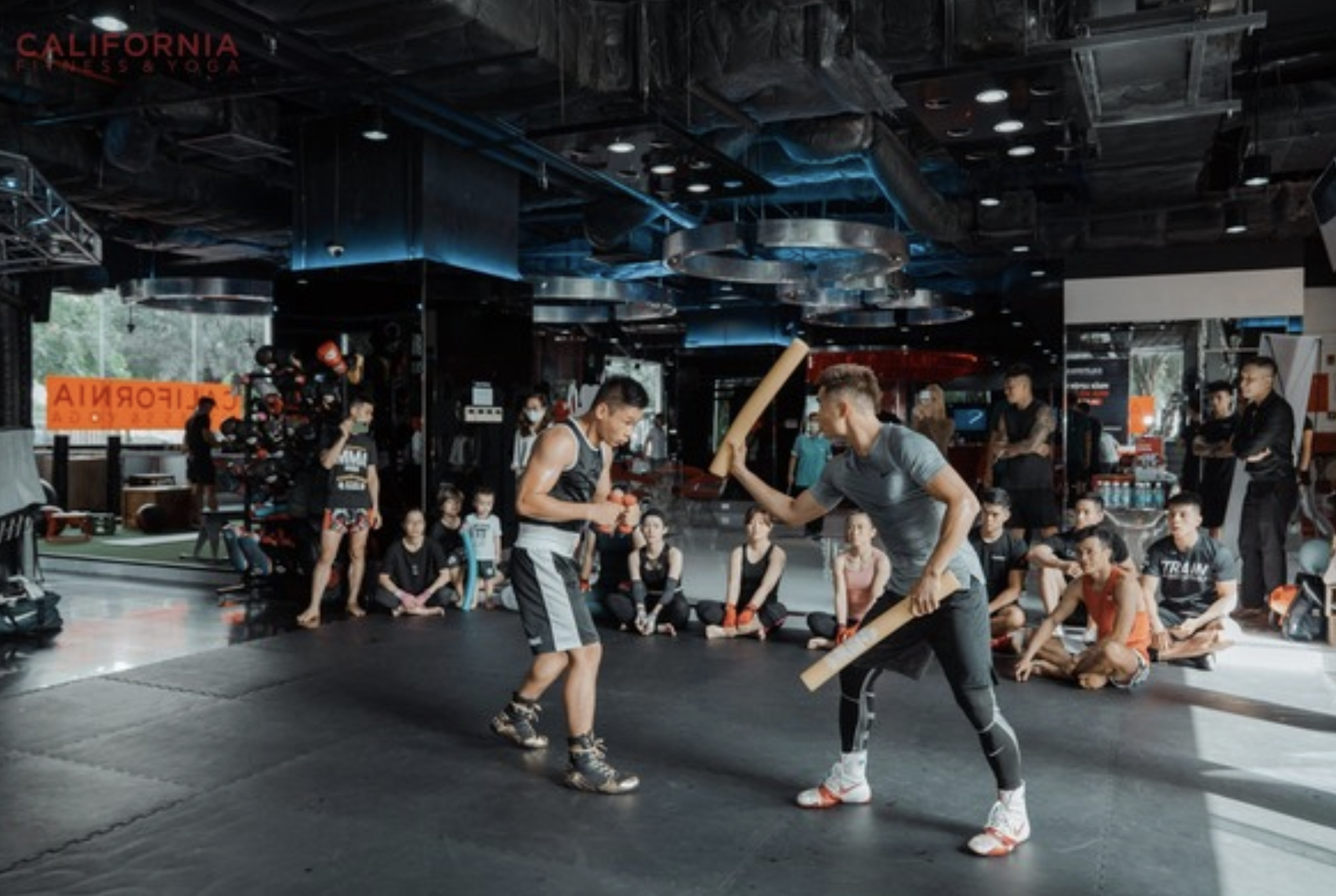 Ông lớn nào đang đứng đầu ngành gym Việt Nam sau khi Elite Fitness đóng cửa toàn bộ chi nhánh tại TP HCM? - Ảnh 1