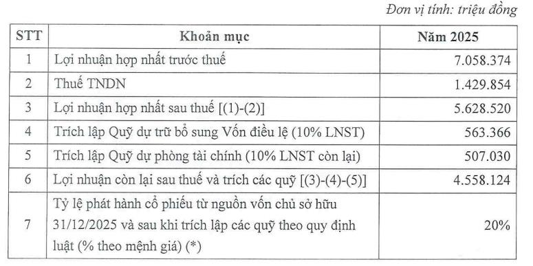 ĐHCĐ MSB: Mục tiêu lãi 8.000 tỷ đồng, trả cổ tức 20% - Ảnh 3