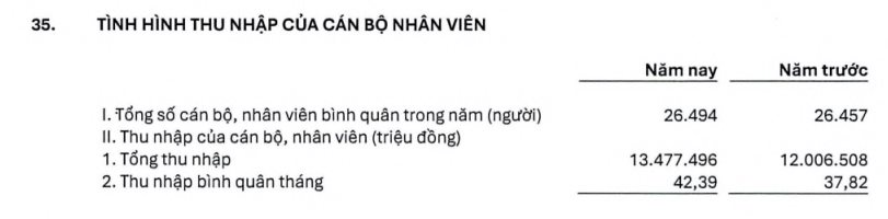 Chủ tịch và Tổng Giám đốc ngân hàng lớn nhất Việt Nam có thu nhập bao nhiêu? - Ảnh 2