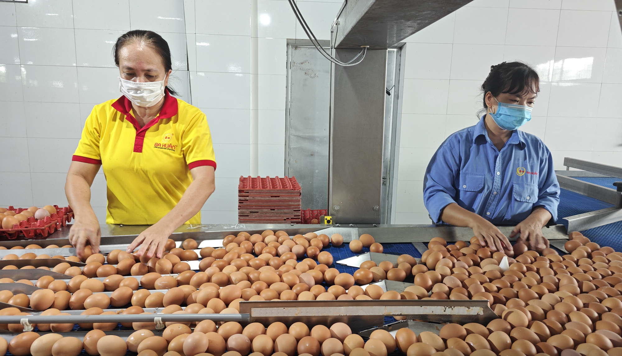 Từ vụ trứng Ba Huân nợ bảo hiểm xã hội kéo dài: Thấy gì từ những "thương hiệu quốc dân"? - Ảnh 1