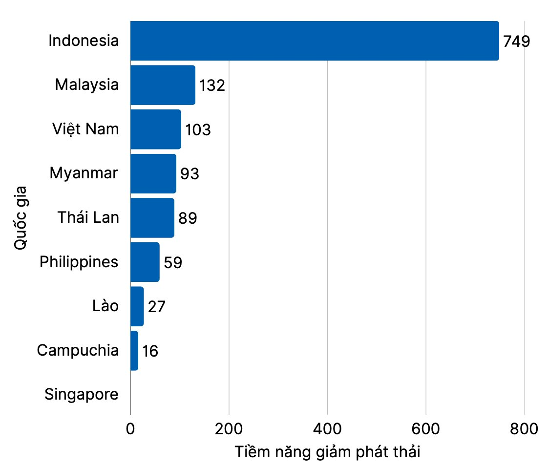 Lợi thế “rừng vàng, biển bạc”, Việt Nam có thể khai mở “kho báu” 40 tỷ USD cả thế giới theo đuổi - Ảnh 3
