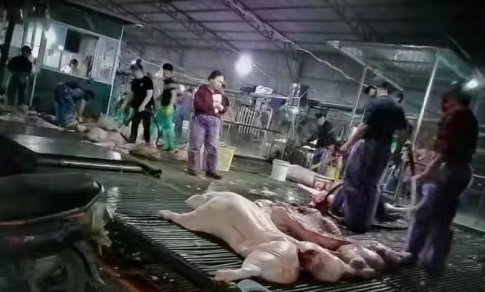 Vụ thịt lợn dịch vào trường học: Thấy gì về thị trường suất ăn tỷ USD tại Việt Nam? - Ảnh 2