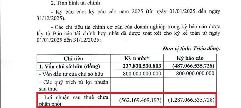 Lỗ kỷ lục gần 725 tỷ đồng, Tập đoàn Đua Fat (DFF) âm vốn sâu, đối mặt rủi ro hoạt động liên tục - Ảnh 1