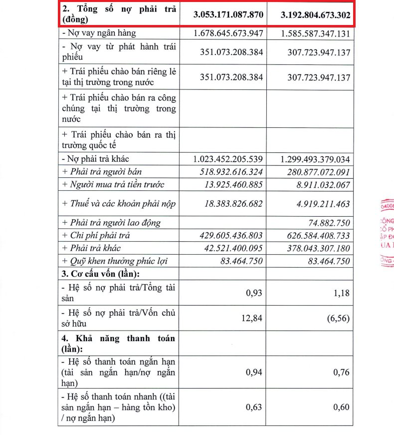 Lỗ kỷ lục gần 725 tỷ đồng, Tập đoàn Đua Fat (DFF) âm vốn sâu, đối mặt rủi ro hoạt động liên tục - Ảnh 2
