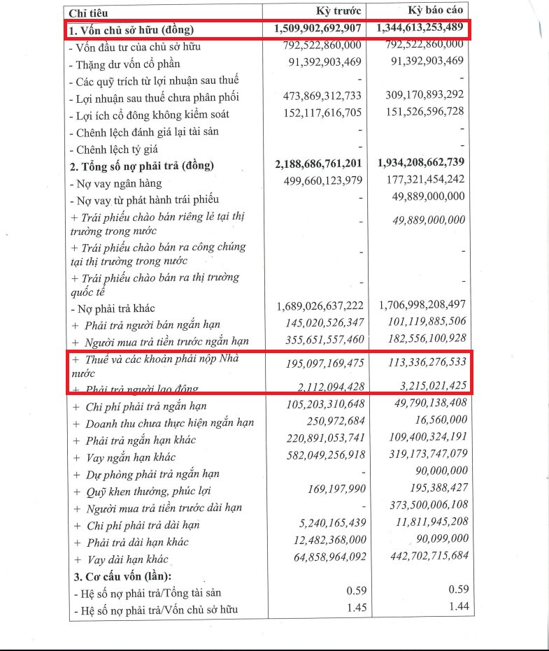 Công ty bất động sản của VinaCapital bất ngờ báo lỗ 165 tỷ đồng - Ảnh 2