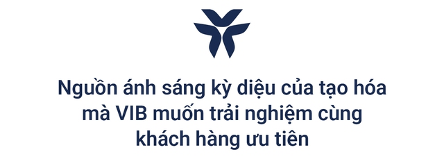 Trải nghiệm đặc quyền dành riêng cho khách hàng ưu tiên của VIB - Ảnh 4