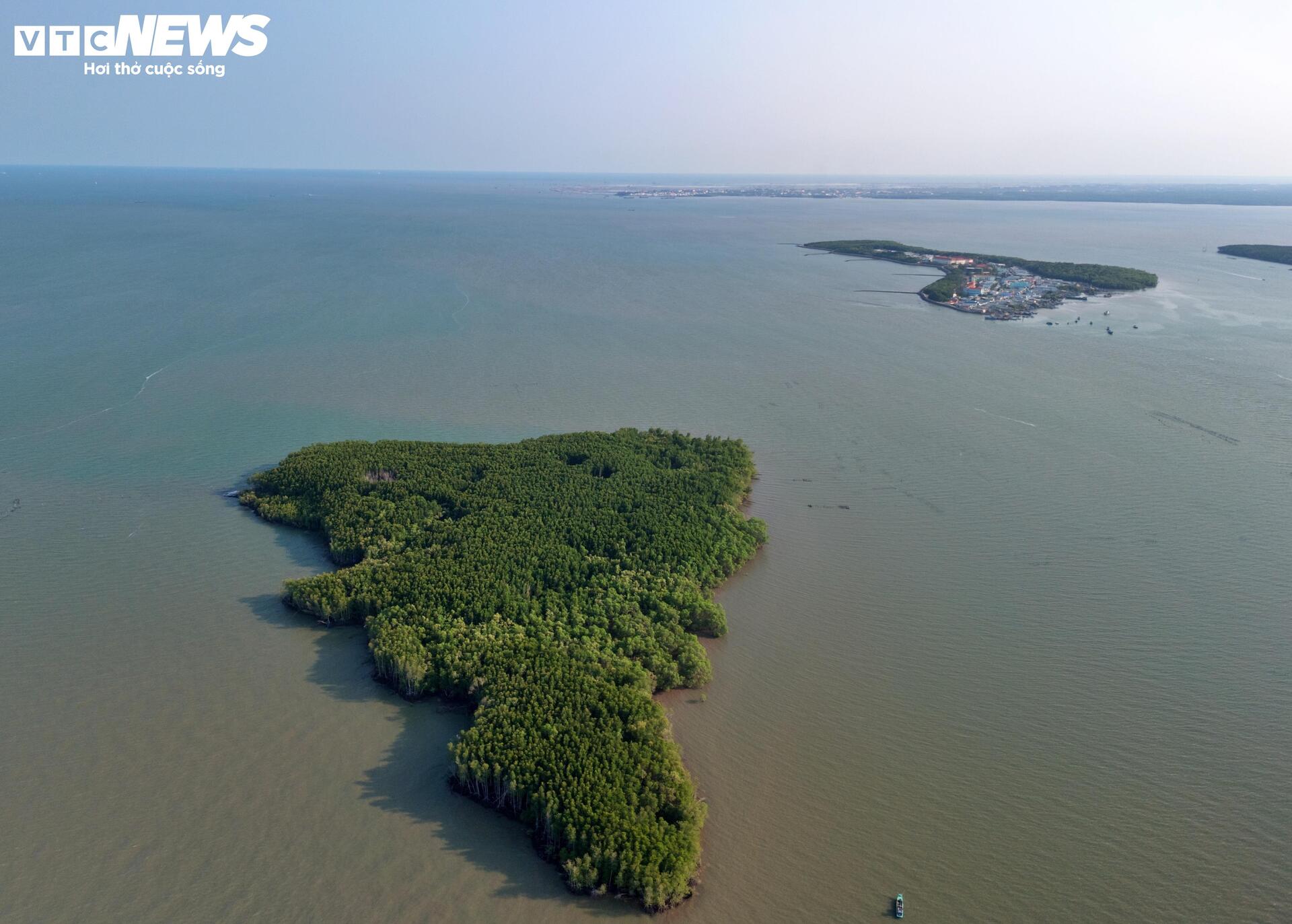 Cận cảnh siêu cảng quốc tế vừa được TP.HCM trao quyết định chấp thuận nhà đầu tư - Ảnh 11