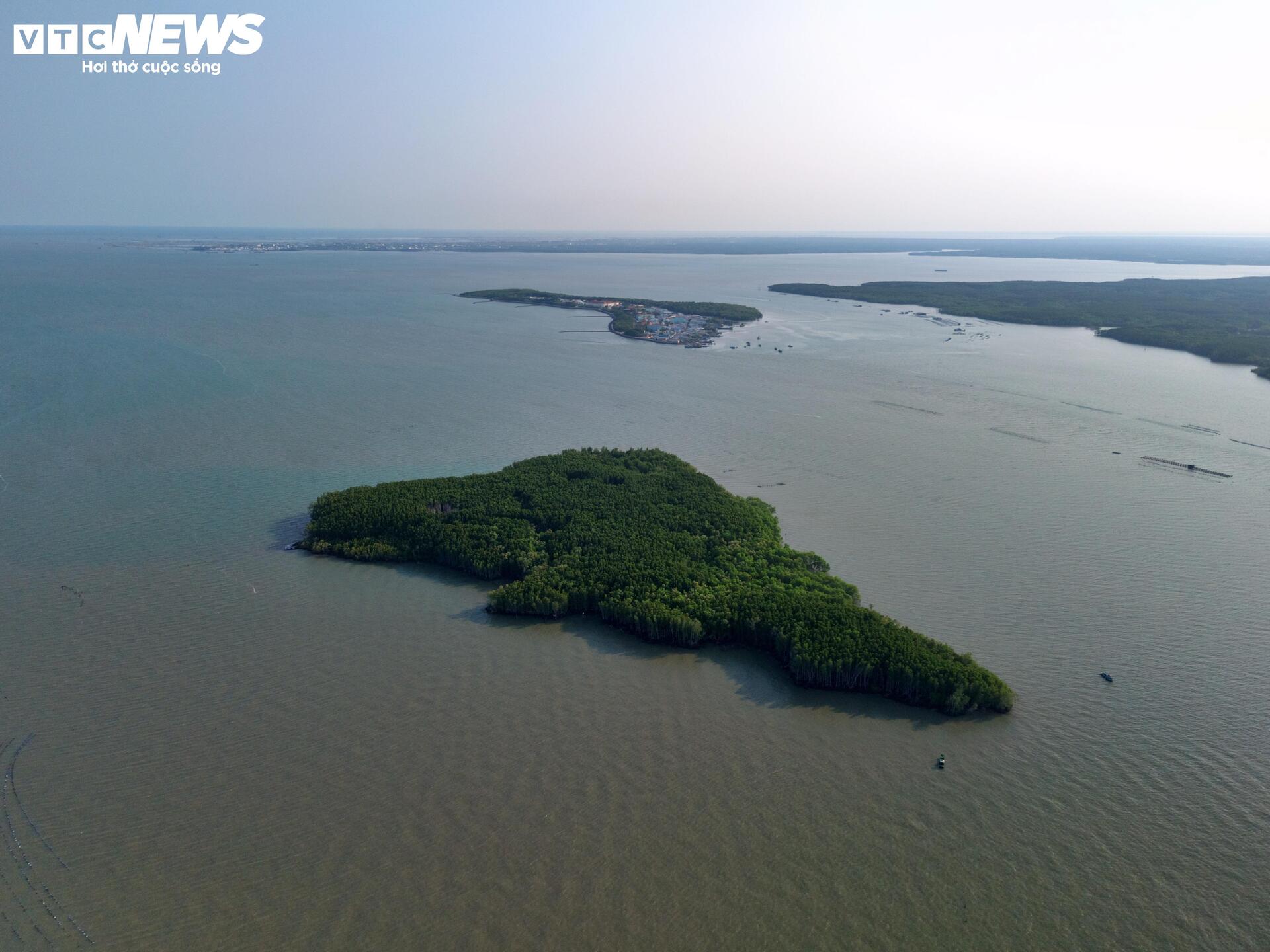 Cận cảnh siêu cảng quốc tế vừa được TP.HCM trao quyết định chấp thuận nhà đầu tư - Ảnh 5