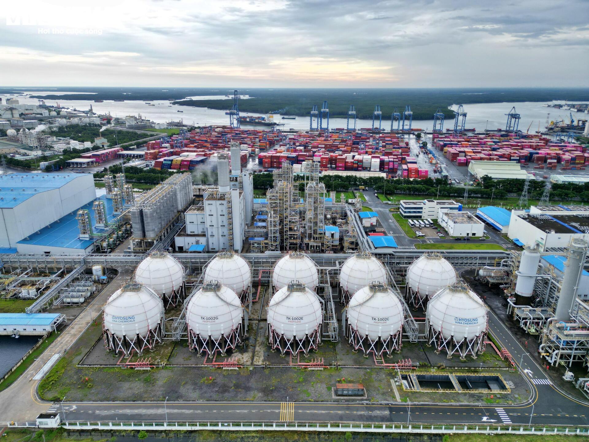 Cận cảnh siêu cảng quốc tế vừa được TP.HCM trao quyết định chấp thuận nhà đầu tư - Ảnh 7