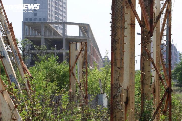 Hoang tàn siêu dự án 11.000 tỷ đồng ở Đà Nẵng - Ảnh 5