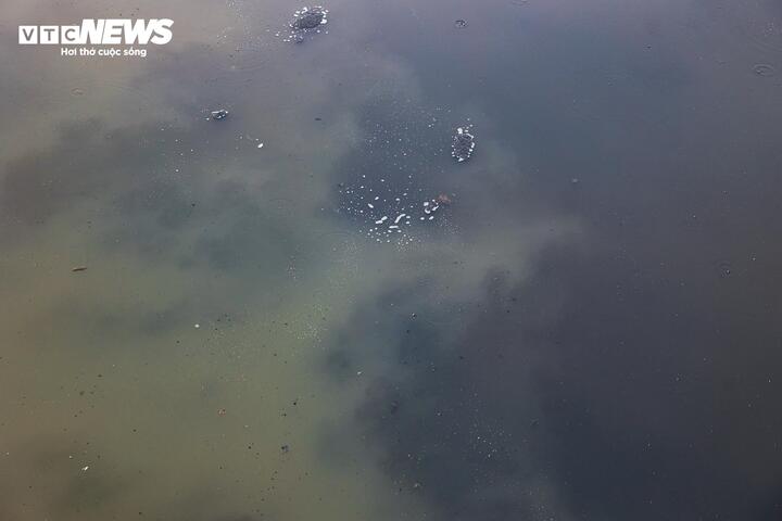 Sau 6 tháng hồi sinh, dòng 'sông chết' ở Hà Nội thay đổi ra sao? - Ảnh 13