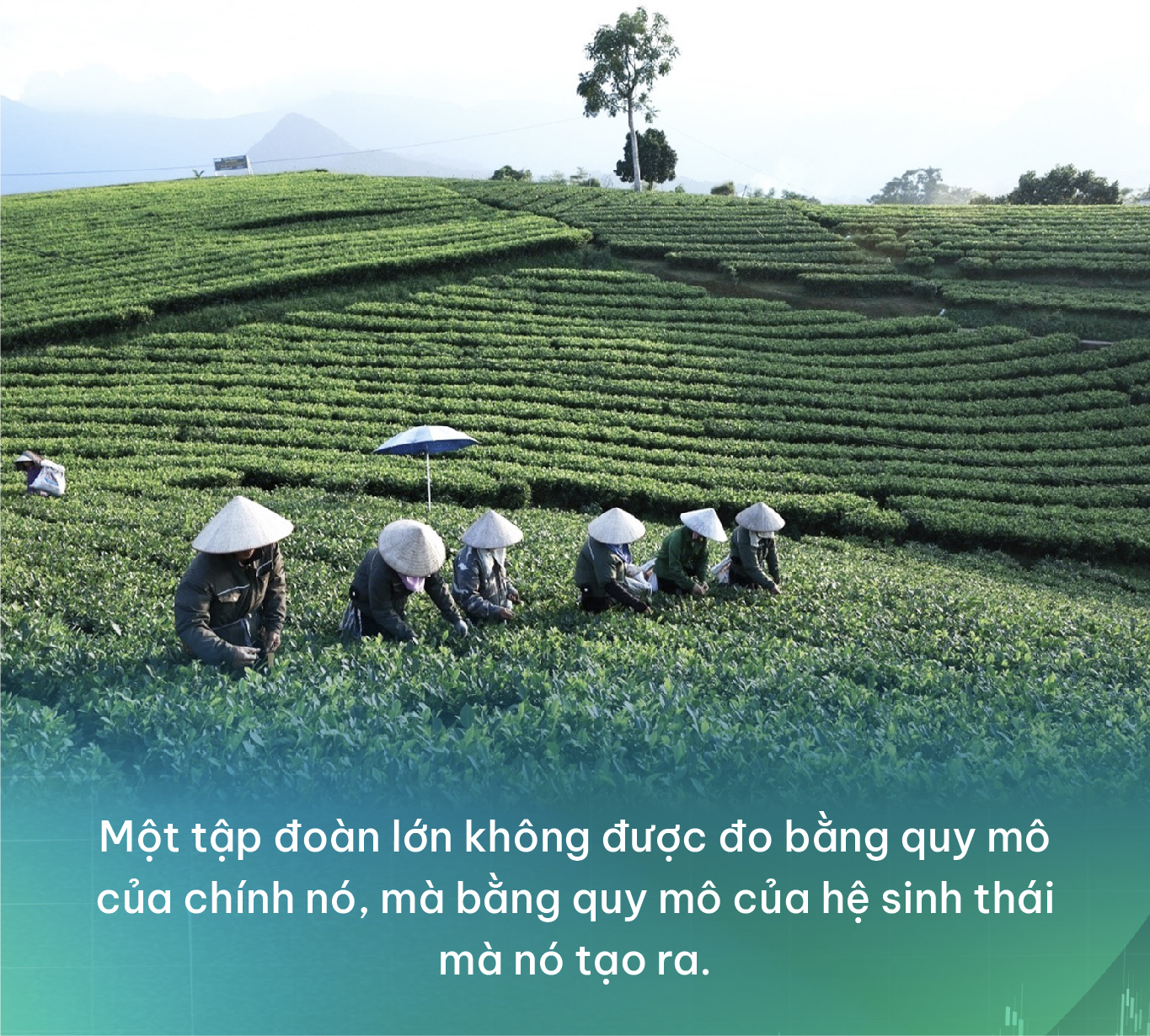 Trong kỷ nguyên mới - doanh nghiệp chỉ “lớn” thôi là chưa đủ: Vai trò dẫn dắt chuỗi giá trị của các tập đoàn tư nhân - Ảnh 6