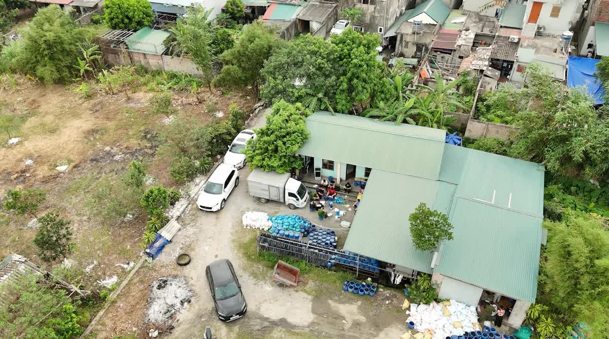 Đột kích xưởng sản xuất giá đỗ sử dụng chất cấm tại Quảng Ninh, thu giữ 4 tấn hàng - Ảnh 1