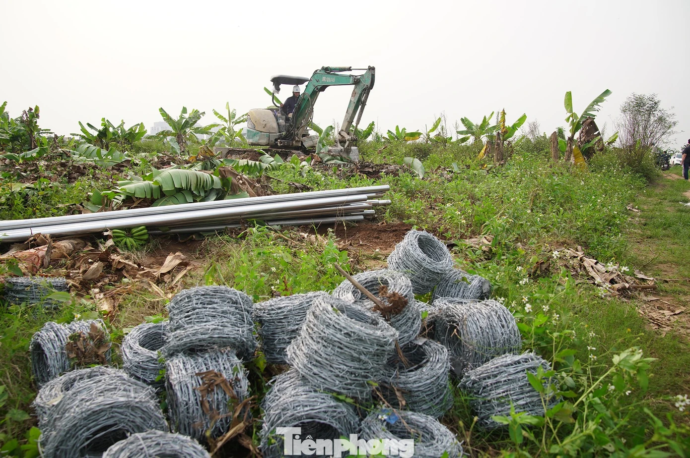 Lãnh đạo Hà Nội trực tiếp "vi hành", đề xuất chính sách đặc thù đẩy nhanh tiến độ cầu Tứ Liên - Ảnh 5